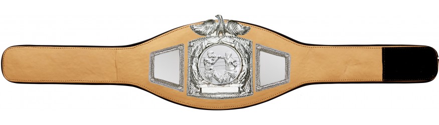 PROEAGLE BOXING CHAMPIONSHIP BELT - PROEAGLE/S/BOXS - AVAILABLE IN 6+ COLOURS